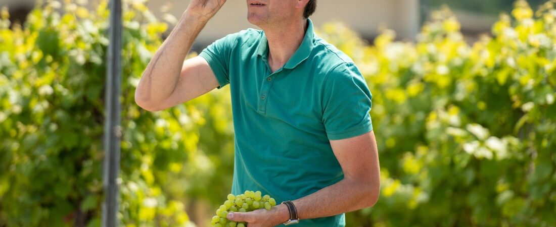 German Winemaker Ernst Loosen Launches Boutique Burgundy Wine Project